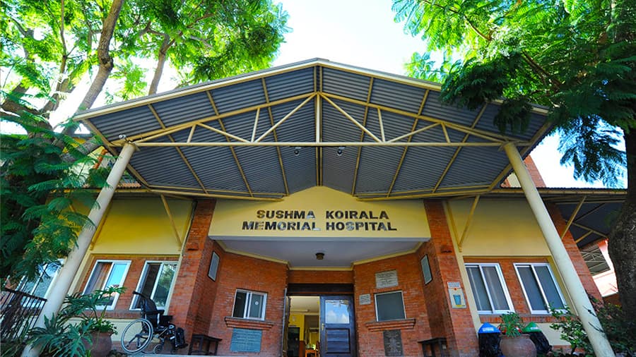 Woman on horse in countryside